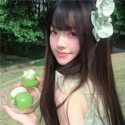 雪与熊